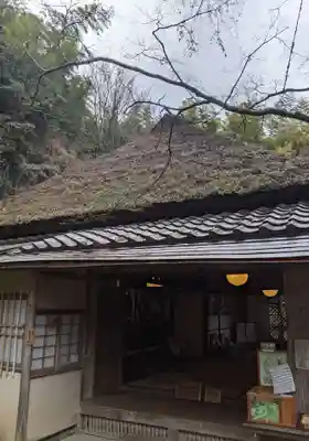 祇王寺(京都府)