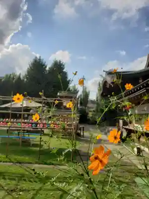 鷺宮八幡神社(東京都)