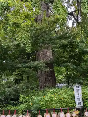 七社神社(東京都)