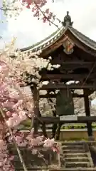 妙顯寺（妙顕寺）(京都府)