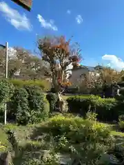 元興寺塔跡(奈良県)