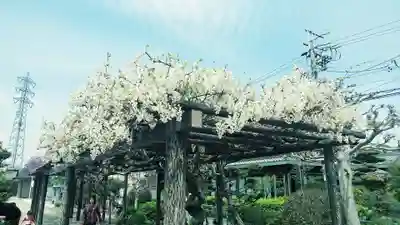 無量寿寺(愛知県)