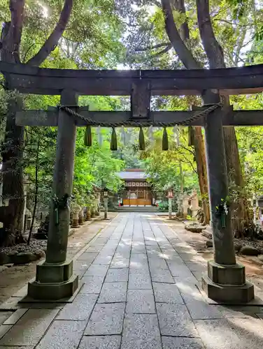 駒木諏訪神社の鳥居