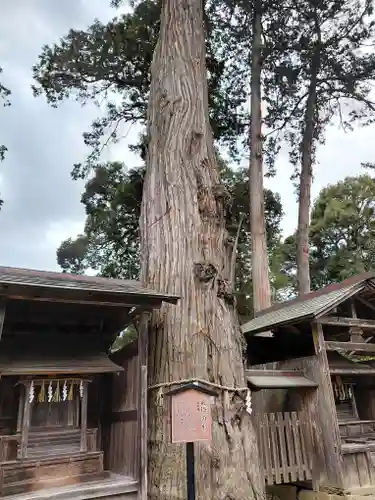 豊受大神社(京都府)