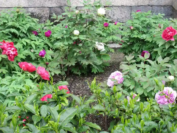 建仁寺(建仁禅寺)の庭園