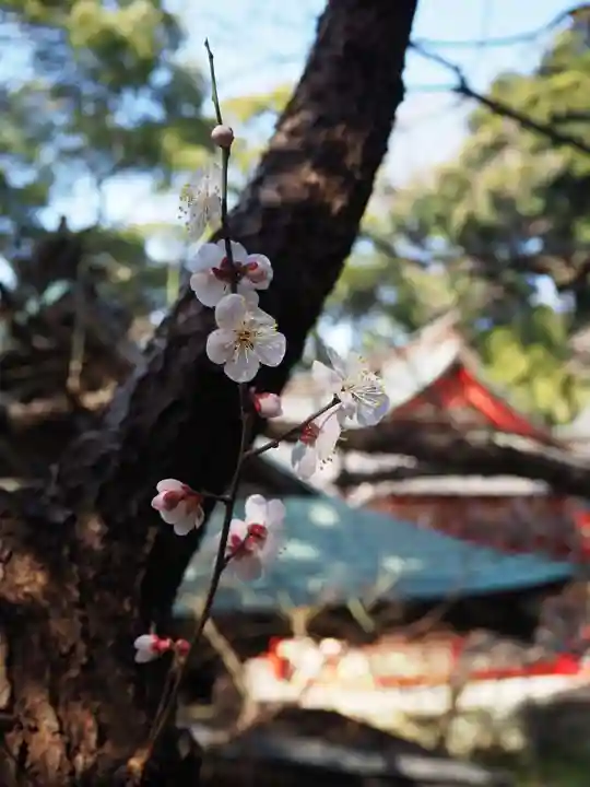 荏柄天神社(神奈川県)