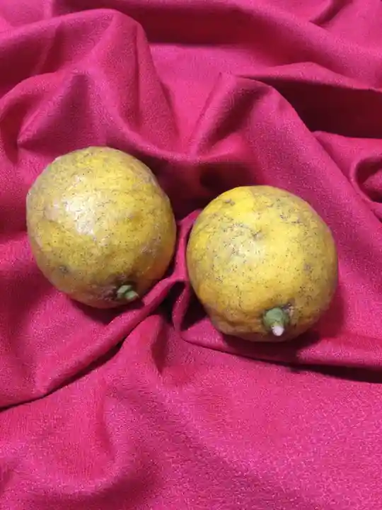 身代り不動尊(大明王院)(静岡県)