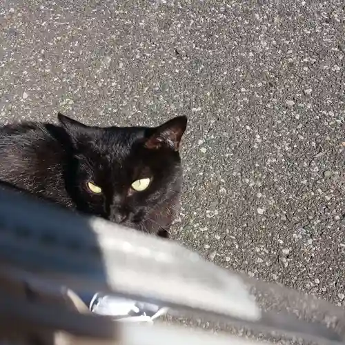 高福寺(栃木県)