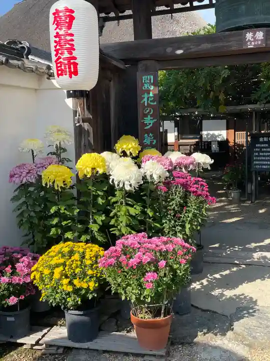 金剛寺(奈良県)