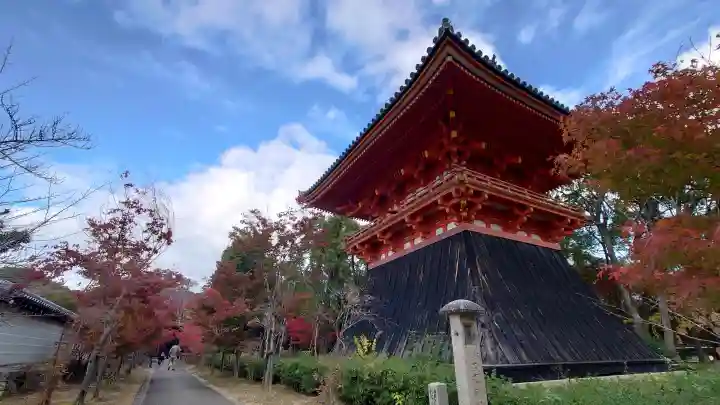 仁和寺の{uncategorized: "未分類", other: "その他", undefined: "問題あり", building: "その他建物", grave: "お墓", sacred_gate: "鳥居", guardian: "狛犬", statue: "像", buddha: "仏像", history: "歴史", nature: "自然", garden: "庭園", animal: "動物", pagoda: "塔", temizu: "手水舎", mountain_gate: "山門・神門", sanctuary: "本殿・本堂", subordinate: "末社・摂社", art: "芸術", scenery: "景色", jizo: "地蔵", ema: "絵馬", goshuin: "御朱印", omikuji: "おみくじ", items: "授与品その他", amulet: "お守り", goshuincho: "御朱印帳", eats: "食事", festival: "お祭り", votive_dance: "神楽", shichigosan: "七五三参", wedding: "結婚式", experience: "体験その他", initially: "初詣", around: "周辺", anti_infection: "感染症対策"}