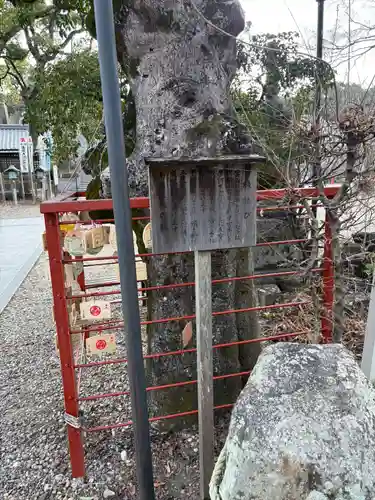 八事山 興正寺のその他建物