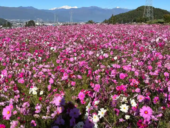 矢彦神社(長野県)