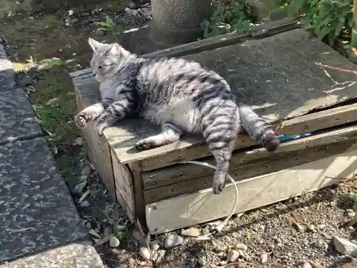 回向院(東京都)