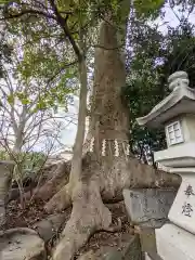 立石神社の自然