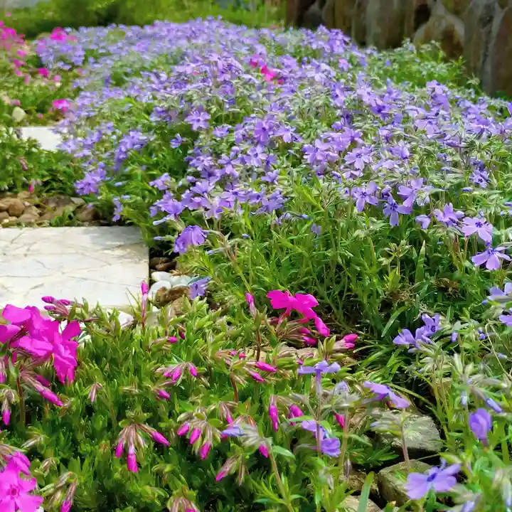 寿量山 速成寺(奈良県)