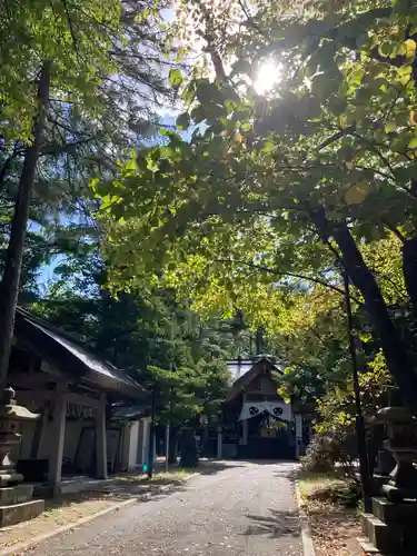 大谷地神社の自然