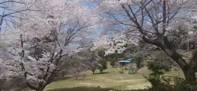 真福寺(埼玉県)