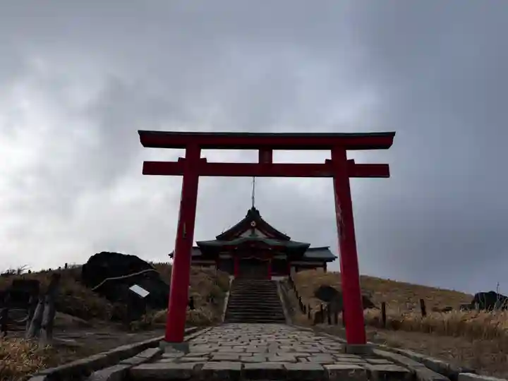 箱根元宮の鳥居