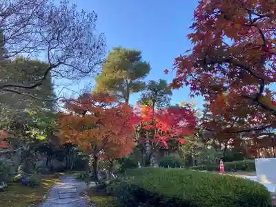養徳院(京都府)