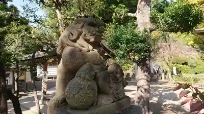 鳩森八幡神社の狛犬