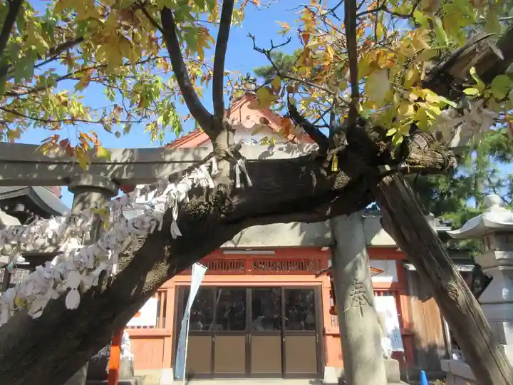 湊稲荷神社(新潟県)