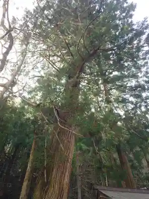 金屋子神社(島根県)