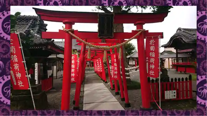 於菊稲荷神社(群馬県)