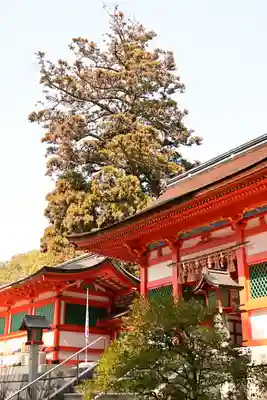 香椎宮(福岡県)