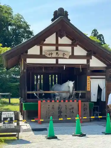 賀茂別雷神社（上賀茂神社）(京都府)