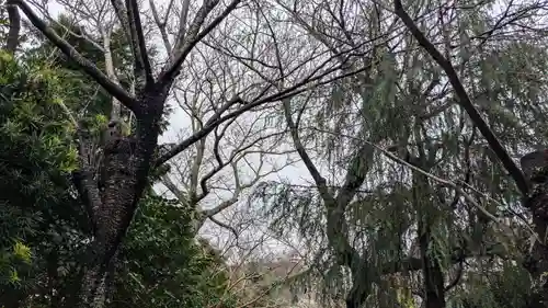 極楽寺（霊鷲山感應院極楽律寺）の自然