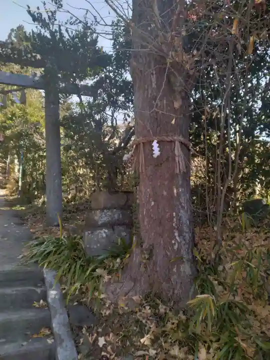 藤田神社(宮城県)