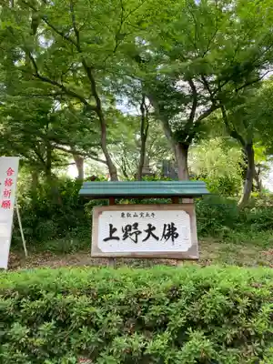 上野大佛(東京都)