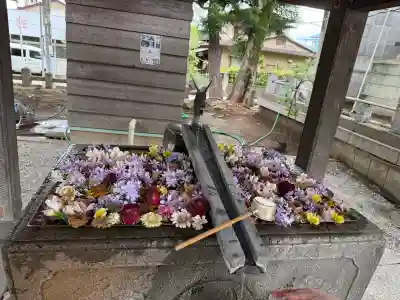 上野総社神社(群馬県)