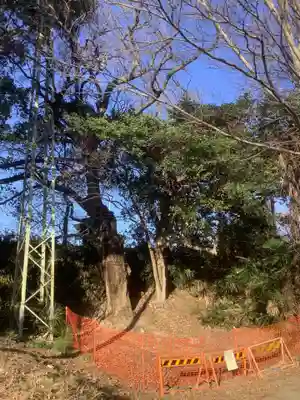 廃社・黒龍大神(愛知県)