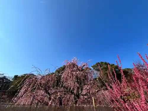 結城神社の{uncategorized: "未分類", other: "その他", undefined: "問題あり", building: "その他建物", grave: "お墓", sacred_gate: "鳥居", guardian: "狛犬", statue: "像", buddha: "仏像", history: "歴史", nature: "自然", garden: "庭園", animal: "動物", pagoda: "塔", temizu: "手水舎", mountain_gate: "山門・神門", sanctuary: "本殿・本堂", subordinate: "末社・摂社", art: "芸術", scenery: "景色", jizo: "地蔵", ema: "絵馬", goshuin: "御朱印", omikuji: "おみくじ", items: "授与品その他", amulet: "お守り", goshuincho: "御朱印帳", eats: "食事", festival: "お祭り", votive_dance: "神楽", shichigosan: "七五三参", wedding: "結婚式", experience: "体験その他", initially: "初詣", around: "周辺", anti_infection: "感染症対策"}