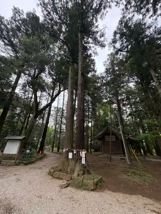 間々田八幡宮の{uncategorized: "未分類", other: "その他", undefined: "問題あり", building: "その他建物", grave: "お墓", sacred_gate: "鳥居", guardian: "狛犬", statue: "像", buddha: "仏像", history: "歴史", nature: "自然", garden: "庭園", animal: "動物", pagoda: "塔", temizu: "手水舎", mountain_gate: "山門・神門", sanctuary: "本殿・本堂", subordinate: "末社・摂社", art: "芸術", scenery: "景色", jizo: "地蔵", ema: "絵馬", goshuin: "御朱印", omikuji: "おみくじ", items: "授与品その他", amulet: "お守り", goshuincho: "御朱印帳", eats: "食事", festival: "お祭り", votive_dance: "神楽", shichigosan: "七五三参", wedding: "結婚式", experience: "体験その他", initially: "初詣", around: "周辺", anti_infection: "感染症対策"}