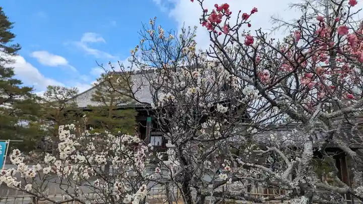 清凉寺(京都府)