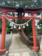 近戸神社(群馬県)