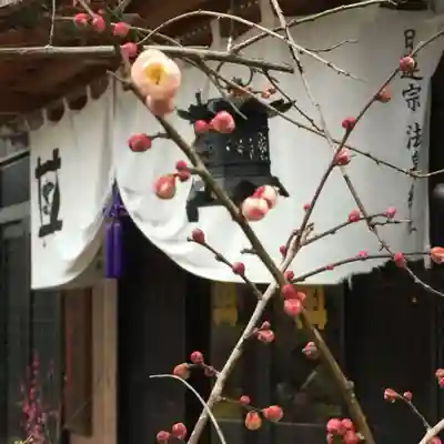 日蓮宗 法泉結社の自然