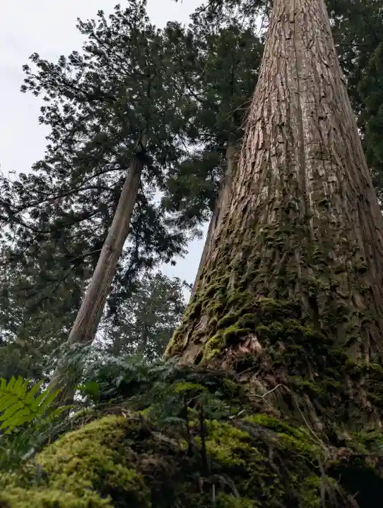 粟鹿神社の{uncategorized: "未分類", other: "その他", undefined: "問題あり", building: "その他建物", grave: "お墓", sacred_gate: "鳥居", guardian: "狛犬", statue: "像", buddha: "仏像", history: "歴史", nature: "自然", garden: "庭園", animal: "動物", pagoda: "塔", temizu: "手水舎", mountain_gate: "山門・神門", sanctuary: "本殿・本堂", subordinate: "末社・摂社", art: "芸術", scenery: "景色", jizo: "地蔵", ema: "絵馬", goshuin: "御朱印", omikuji: "おみくじ", items: "授与品その他", amulet: "お守り", goshuincho: "御朱印帳", eats: "食事", festival: "お祭り", votive_dance: "神楽", shichigosan: "七五三参", wedding: "結婚式", experience: "体験その他", initially: "初詣", around: "周辺", anti_infection: "感染症対策"}