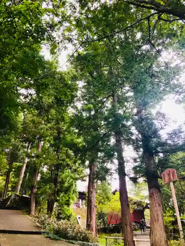 成相寺(京都府)