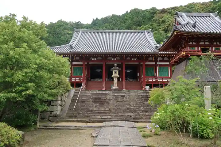 矢田寺の本殿・本堂