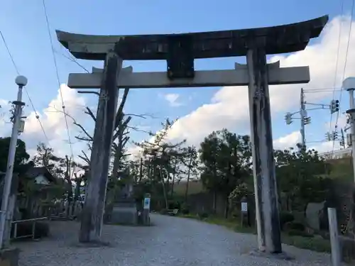 小田井縣神社の鳥居