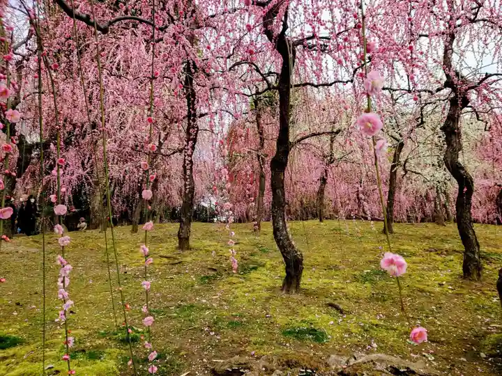 城南宮(京都府)