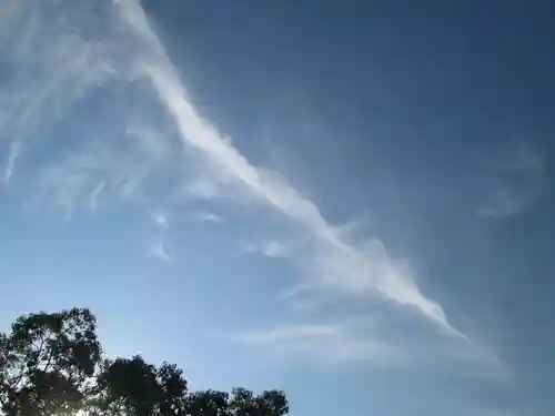 屋久島大社の自然