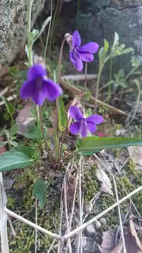 貴船神社の自然