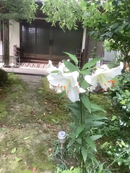 西福寺(愛知県)