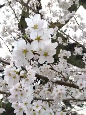 福井神社(福井県)