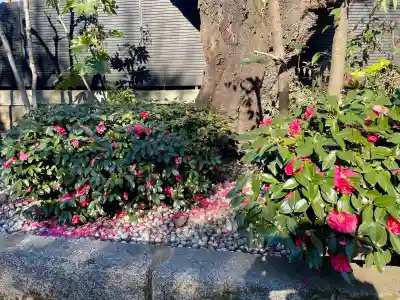 蓮光院の{uncategorized: "未分類", other: "その他", undefined: "問題あり", building: "その他建物", grave: "お墓", sacred_gate: "鳥居", guardian: "狛犬", statue: "像", buddha: "仏像", history: "歴史", nature: "自然", garden: "庭園", animal: "動物", pagoda: "塔", temizu: "手水舎", mountain_gate: "山門・神門", sanctuary: "本殿・本堂", subordinate: "末社・摂社", art: "芸術", scenery: "景色", jizo: "地蔵", ema: "絵馬", goshuin: "御朱印", omikuji: "おみくじ", items: "授与品その他", amulet: "お守り", goshuincho: "御朱印帳", eats: "食事", festival: "お祭り", votive_dance: "神楽", shichigosan: "七五三参", wedding: "結婚式", experience: "体験その他", initially: "初詣", around: "周辺", anti_infection: "感染症対策"}