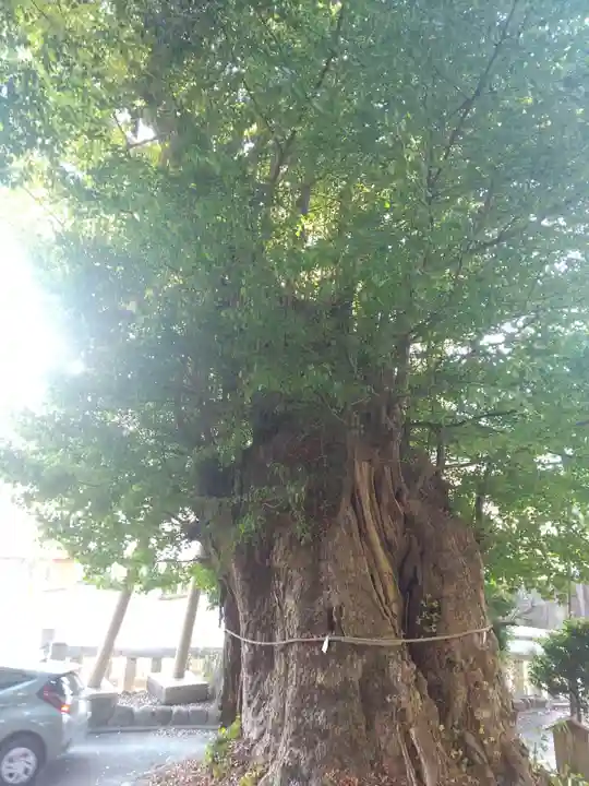 五所神社(神奈川県)